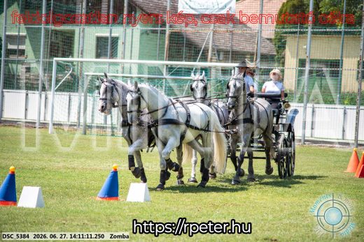 Mintakép 20260627-24