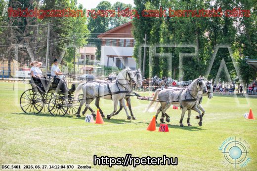 Mintakép 20260627-32