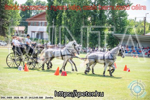 Mintakép 20260627-33