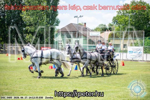 Mintakép 20260627-35