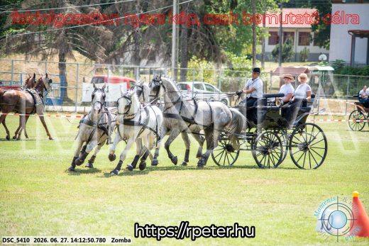 Mintakép 20260627-39