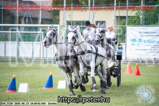 Mintakép 20260627-45