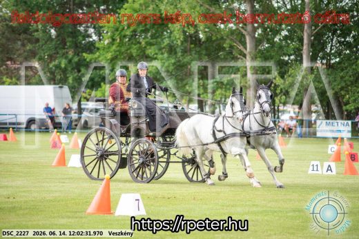 Mintakép 20260614-82