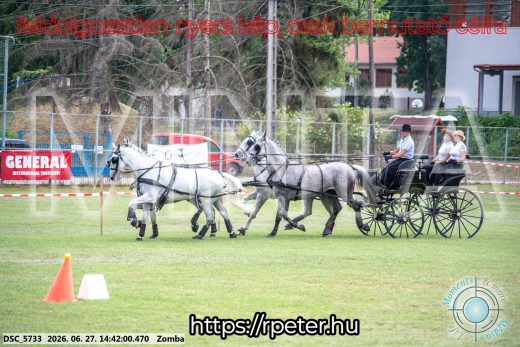 Mintakép 20260627-51