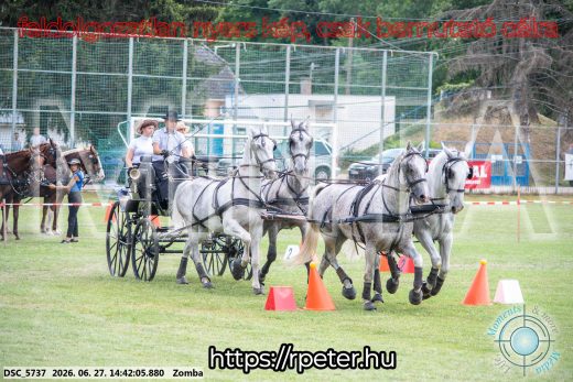 Mintakép 20260627-54