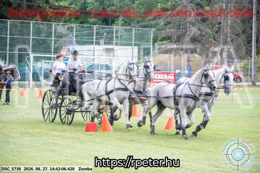 Mintakép 20260627-55
