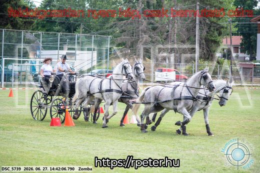 Mintakép 20260627-56