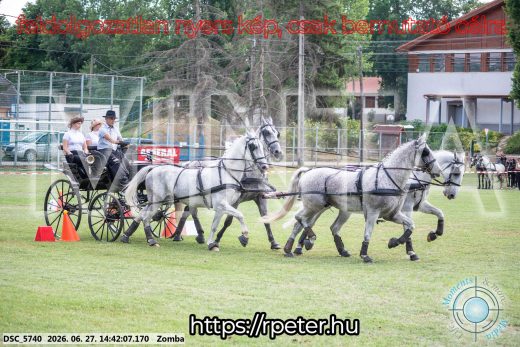 Mintakép 20260627-57