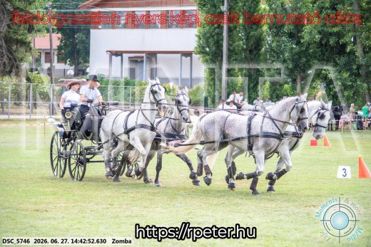 Mintakép 20260627-61
