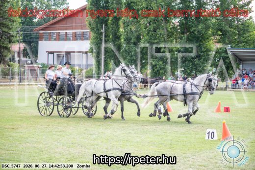 Mintakép 20260627-62