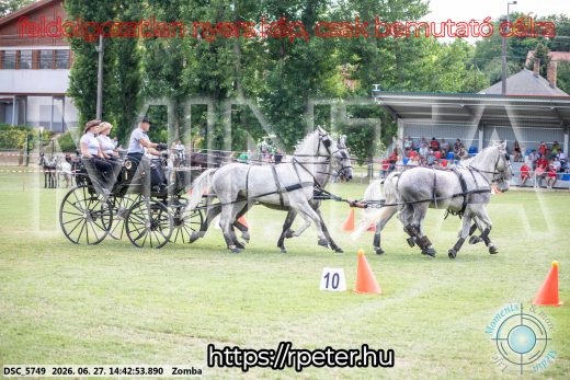 Mintakép 20260627-64