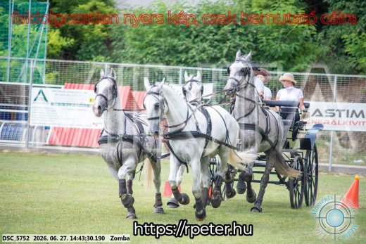 Mintakép 20260627-67