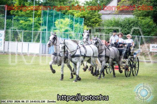 Mintakép 20260627-68