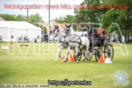 Mintakép 20260614-84