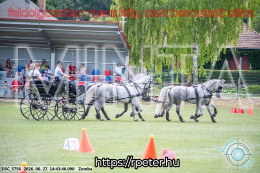 Mintakép 20260627-71