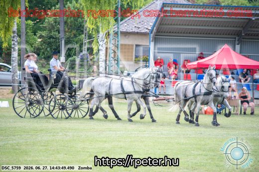 Mintakép 20260627-74