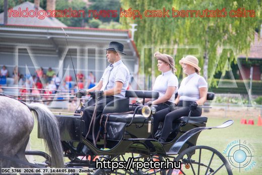 Mintakép 20260627-78