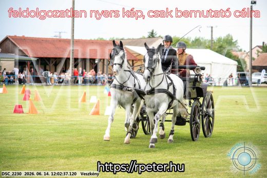Mintakép 20260614-85