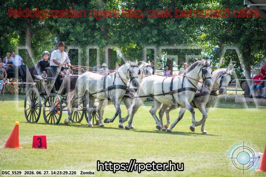 20260627-142329-DSC_5529.jpg