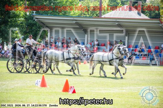 20260627-142250-DSC_5521.jpg