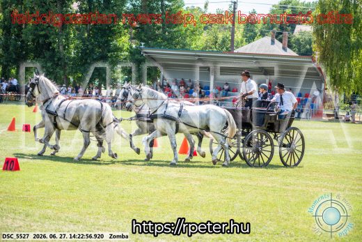 Mintakép 20260627-85