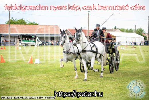 Mintakép 20260614-86