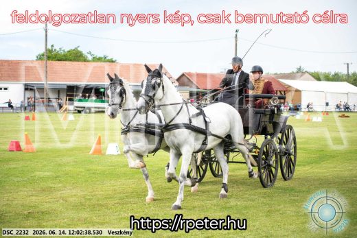 Mintakép 20260614-87