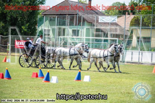 Mintakép 20260627-99