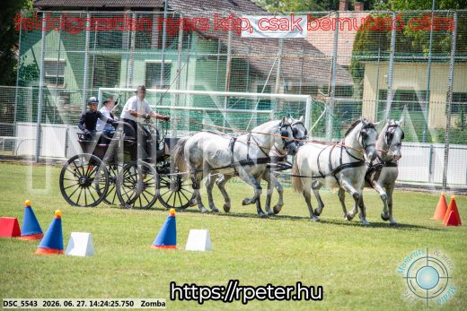 Mintakép 20260627-100