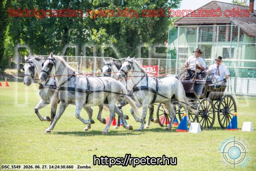 Mintakép 20260627-103