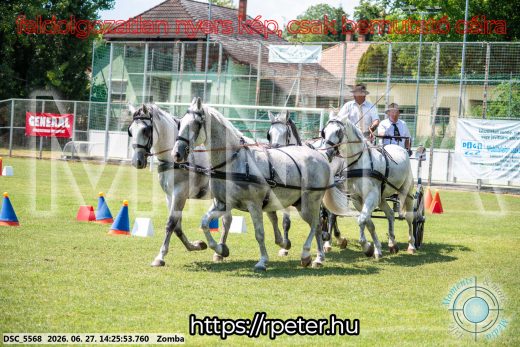 Mintakép 20260627-115