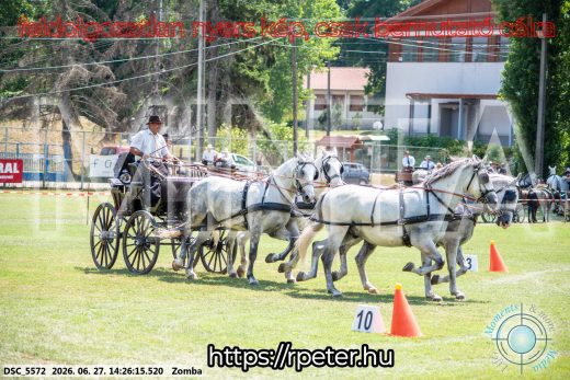 Mintakép 20260627-117