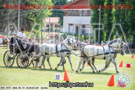 Mintakép 20260627-119