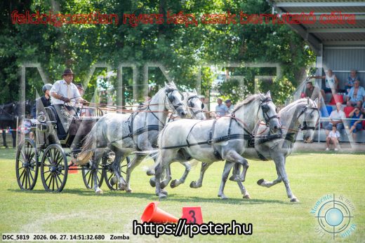 Mintakép 20260627-129