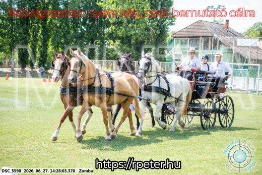 Mintakép 20260627-136