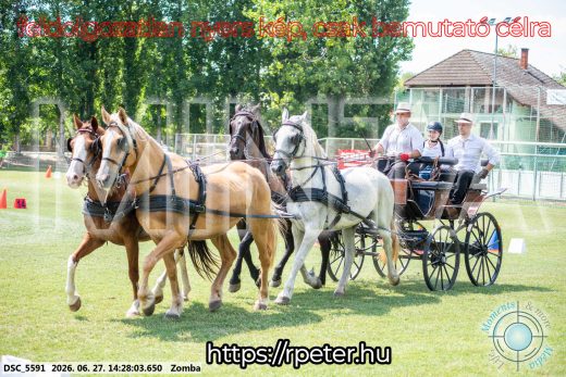 Mintakép 20260627-137