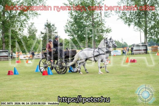 Mintakép 20260614-91