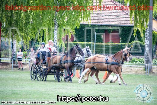 Mintakép 20260627-139