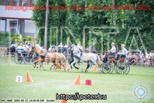 Mintakép 20260627-146