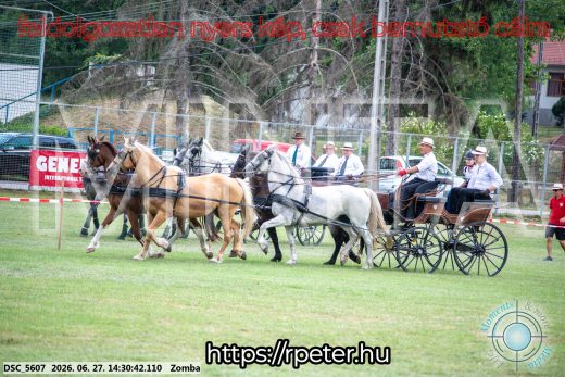 Mintakép 20260627-147