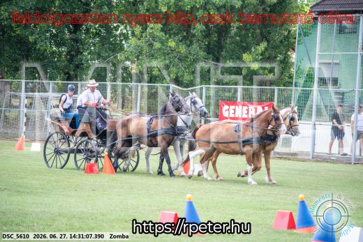 Mintakép 20260627-149