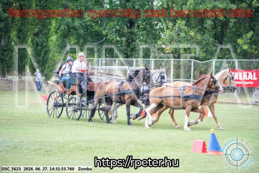 Mintakép 20260627-160
