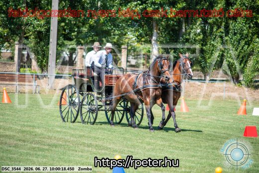 20260627-100018-DSC_3544.jpg