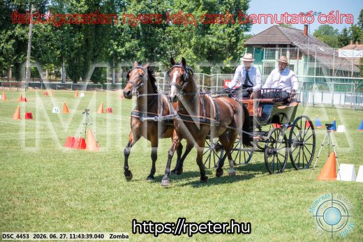 Mintakép 20260627-188
