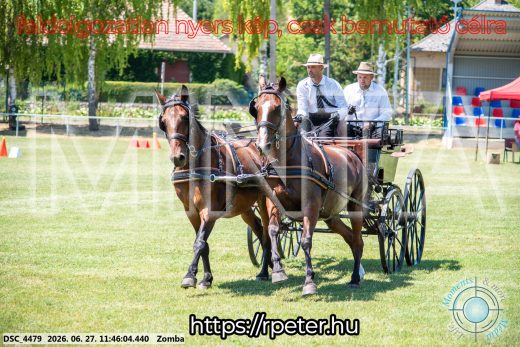 Mintakép 20260627-198