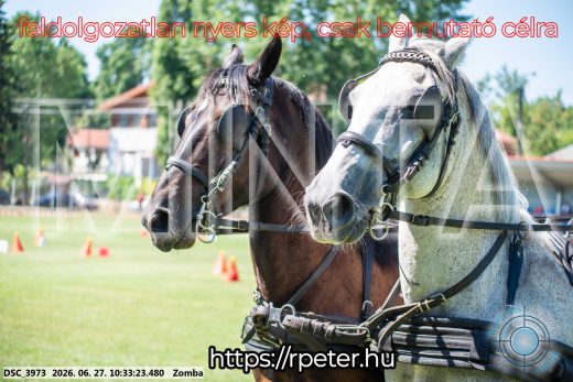 Mintakép 20260627-207
