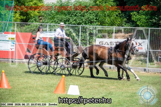 Mintakép 20260627-216