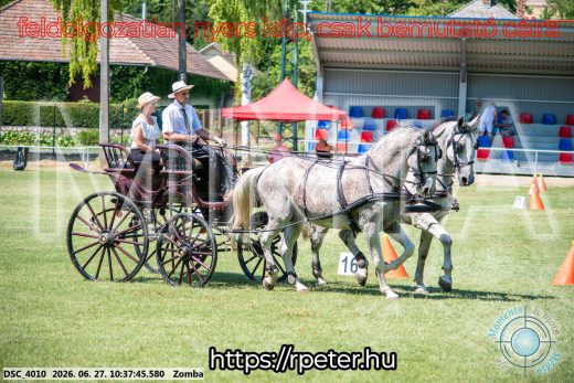 20260627-103745-DSC_4010.jpg