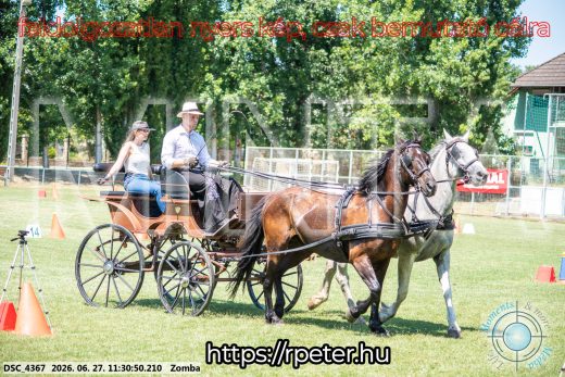 Mintakép 20260627-226