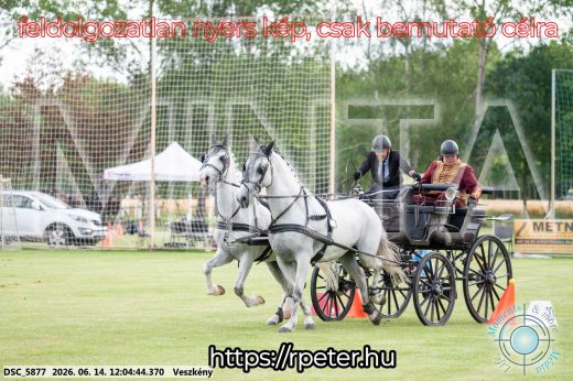 Mintakép 20260614-101